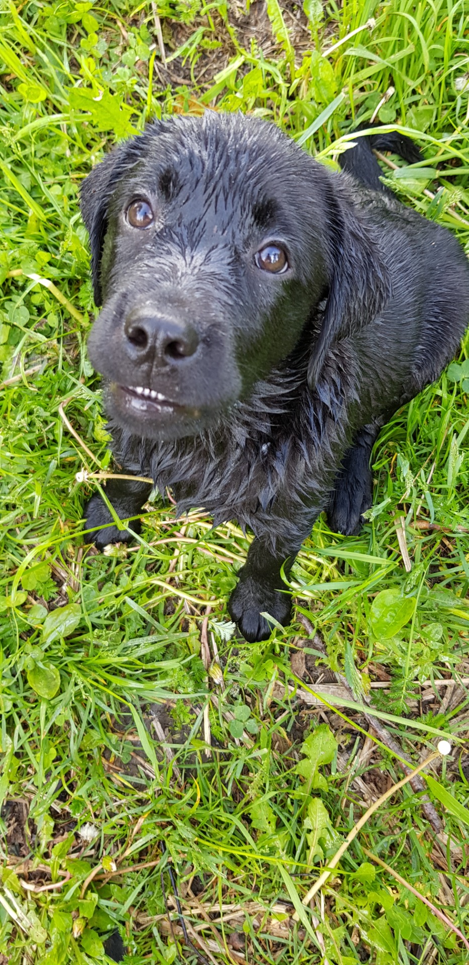 Uinnin jälkeen, Elsa 4 kk